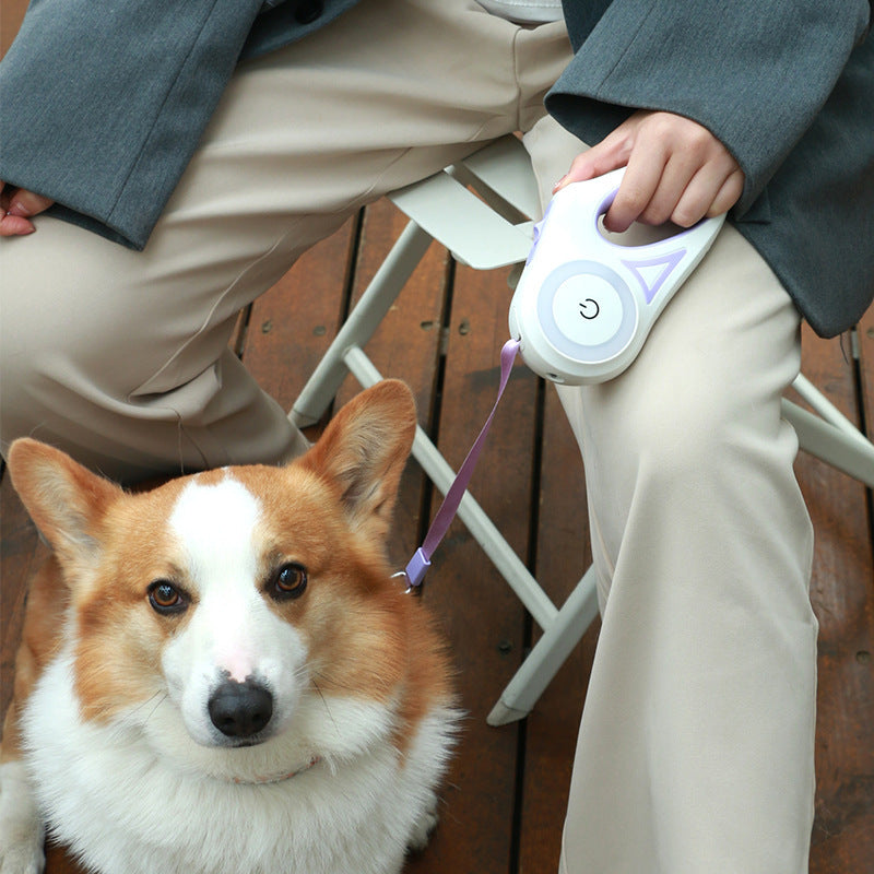 Automatic Retractable Dog Leash with Collar – Pet Lead for Small & Medium Dogs or Cats