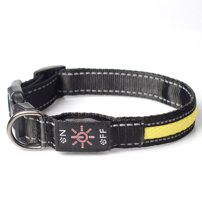 LED Rechargeable Pet Collar – Keep Your Pet Safe & Seen at Night