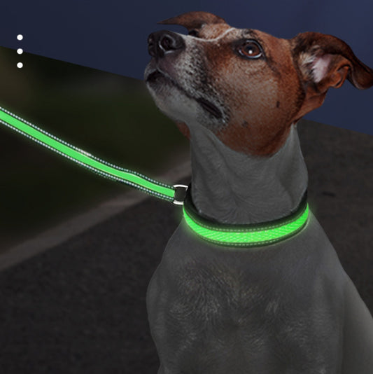 LED Rechargeable Pet Collar – Keep Your Pet Safe & Seen at Night