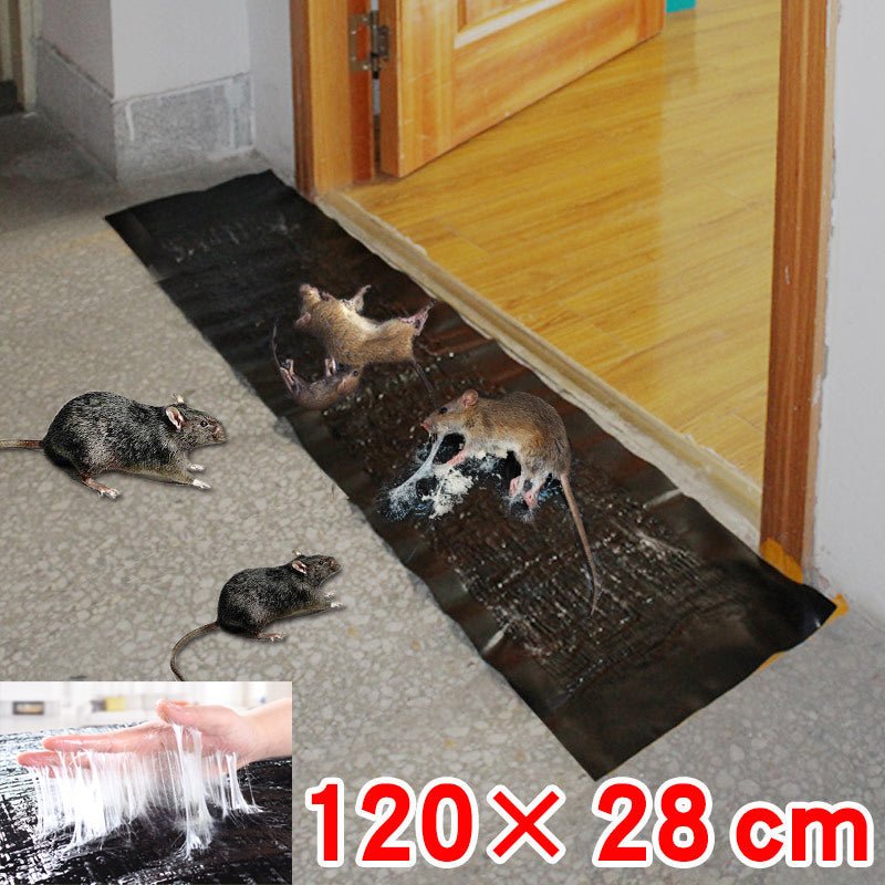 Large Non-Toxic Pest Trap - Outdoor & Pest Control (view 6)
