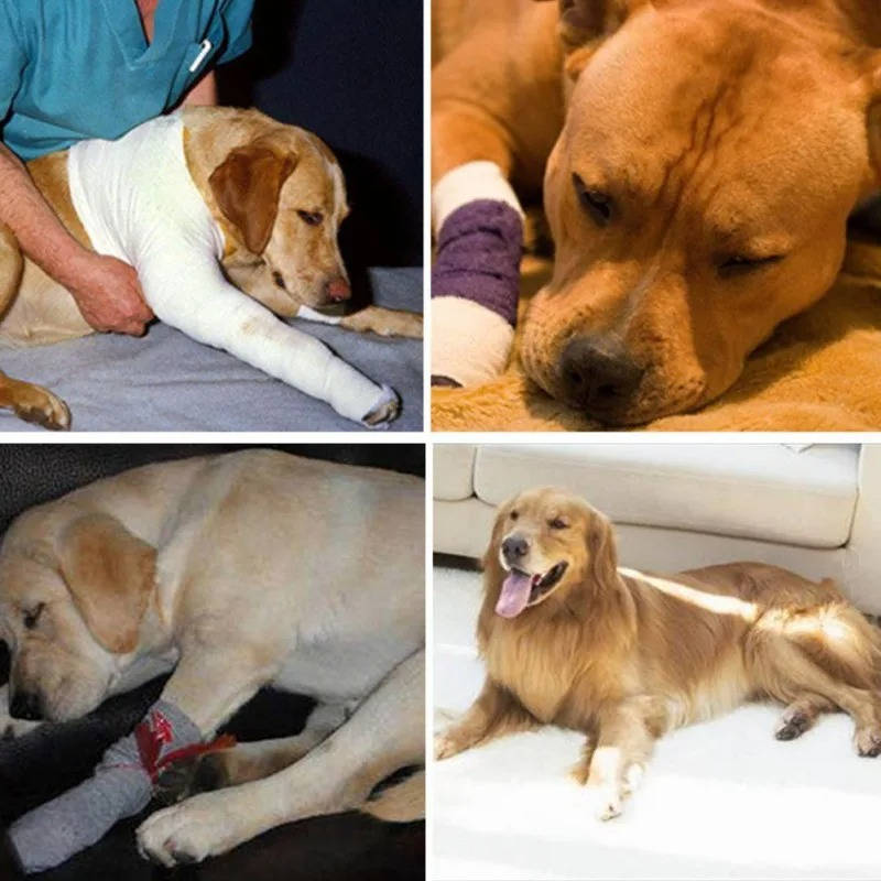 Orthopedic Braces for Dogs - Pet Supplies (view 2)