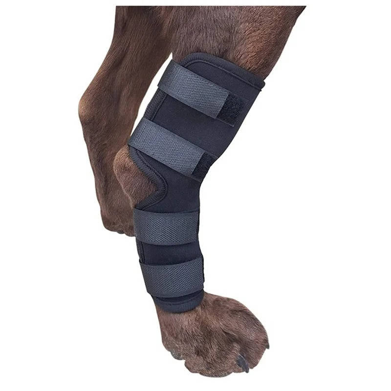 Orthopedic Braces for Dogs - Pet Supplies (view 5)