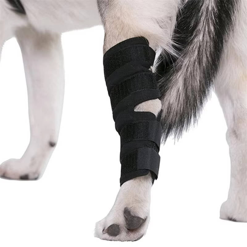 Orthopedic Braces for Dogs - Pet Supplies (view 4)