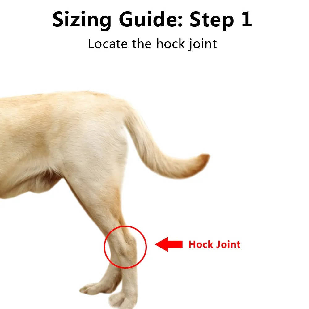 Orthopedic Braces for Dogs - Pet Supplies (view 3)