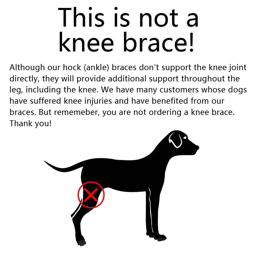 Orthopedic Braces for Dogs - Pet Supplies (view 7)