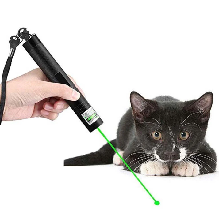 Dual Green & Red Laser Pointer - Compact Pocket Pointer for Presentations, Astronomy & Cat Toy Play
