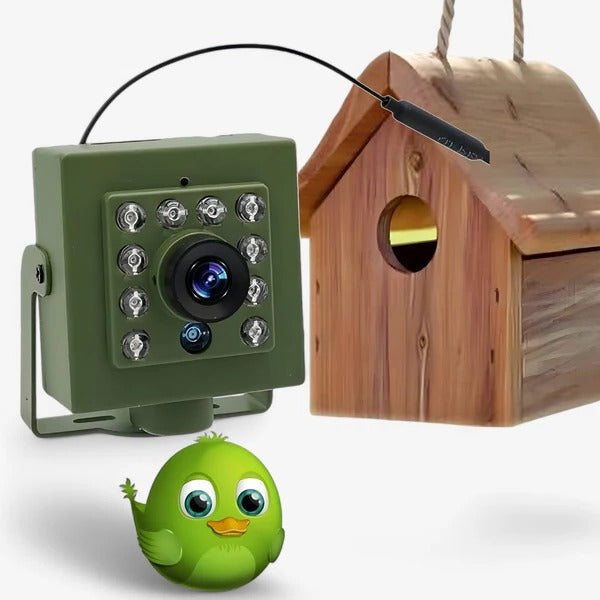 HD Wi-Fi Bird Nest Camera - Pet Supplies (view 2)
